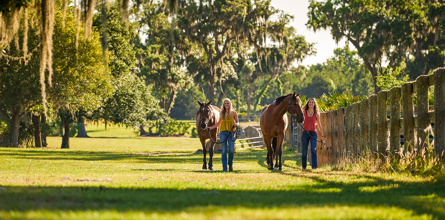 dwp_db_goldenisles_horse_051521_1081-5894x2918-4b273d62-3307-4c8f-88ee-d91e8f2e37de