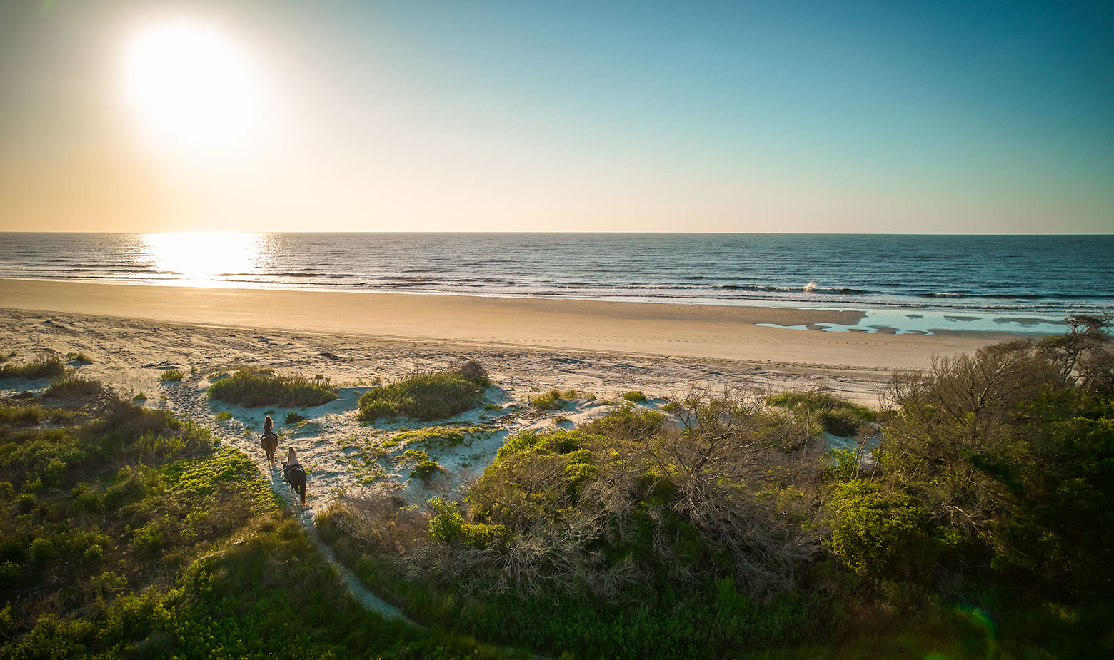 dwp_db_goldenisles_horses_drone_051521_288